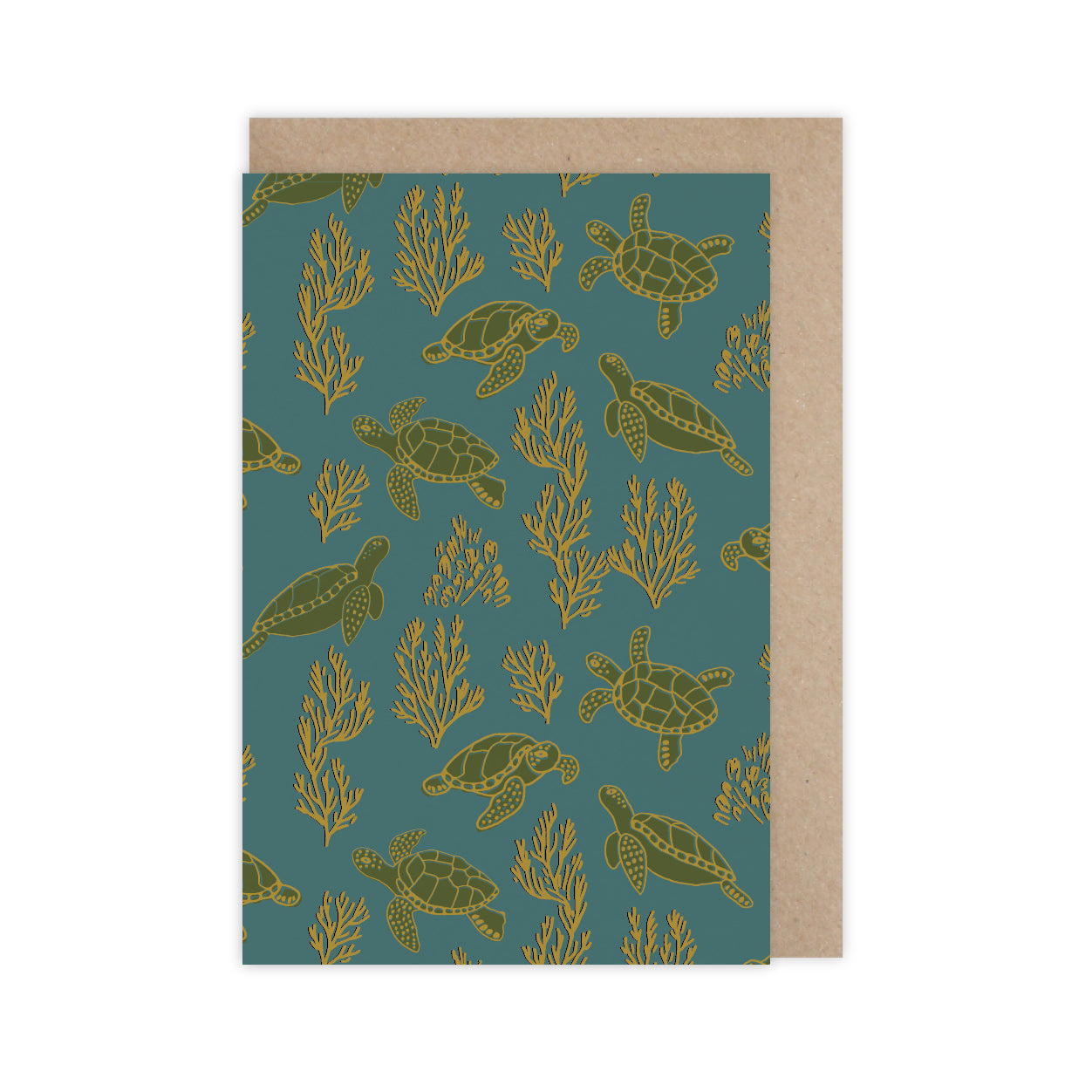 Carte - Tortues