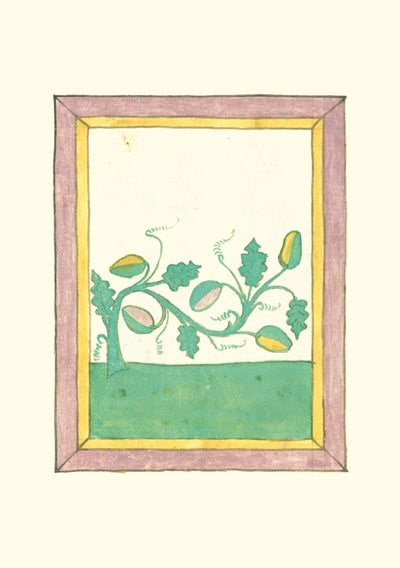 Carnet - Livre des herbes