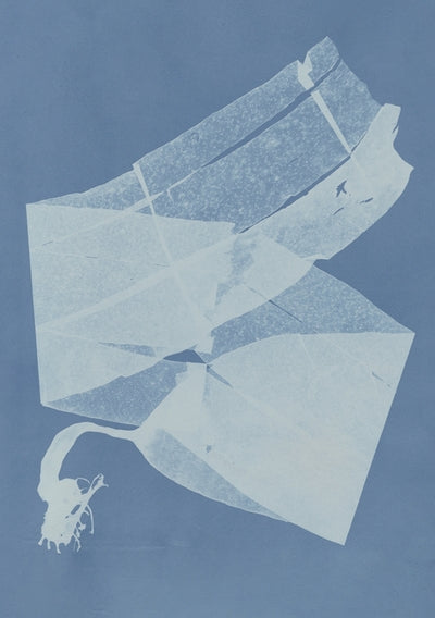 Carnet – Herbier des mers