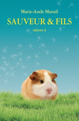 Sauveur & fils - Saison 2
