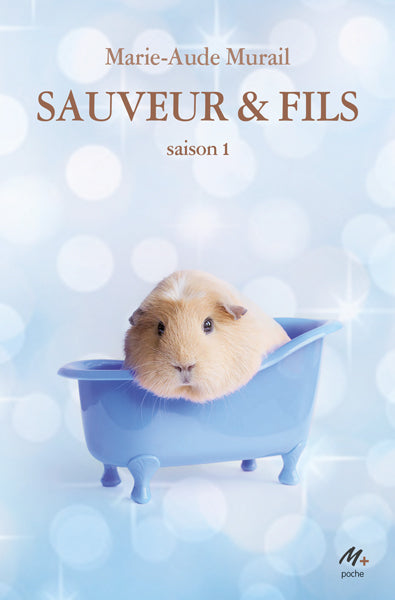 Sauveur & fils - Saison 1