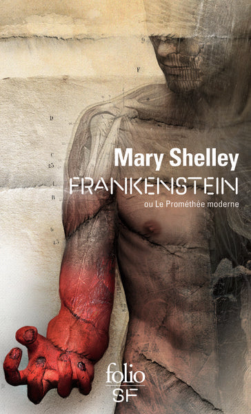 Frankenstein ou Le Prométhée moderne