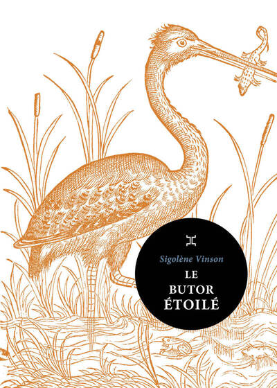 Le Butor étoilé