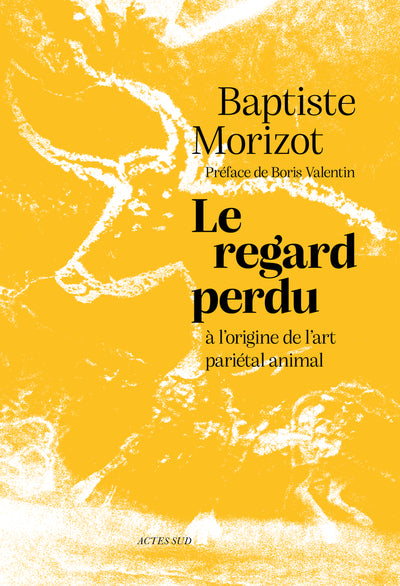 Le regard perdu