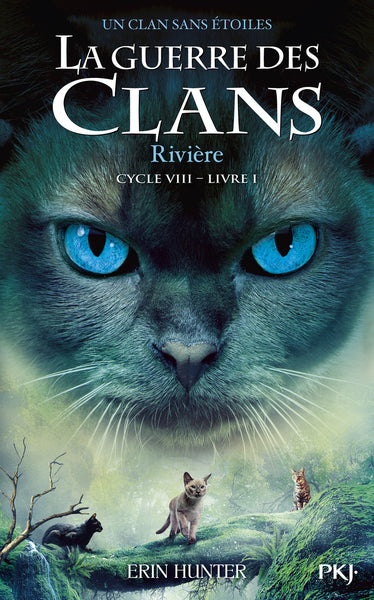 La guerre des clans - Cycle VIII Un clan sans étoiles
