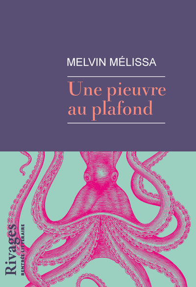 Une pieuvre au plafond
