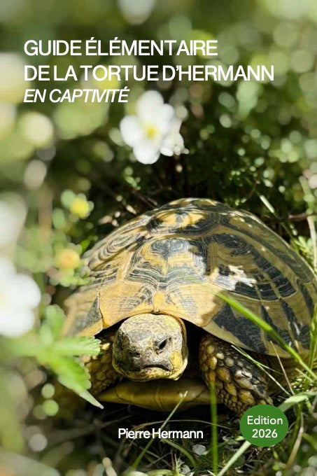Guide élémentaire de la tortue d'Hermann en captivité