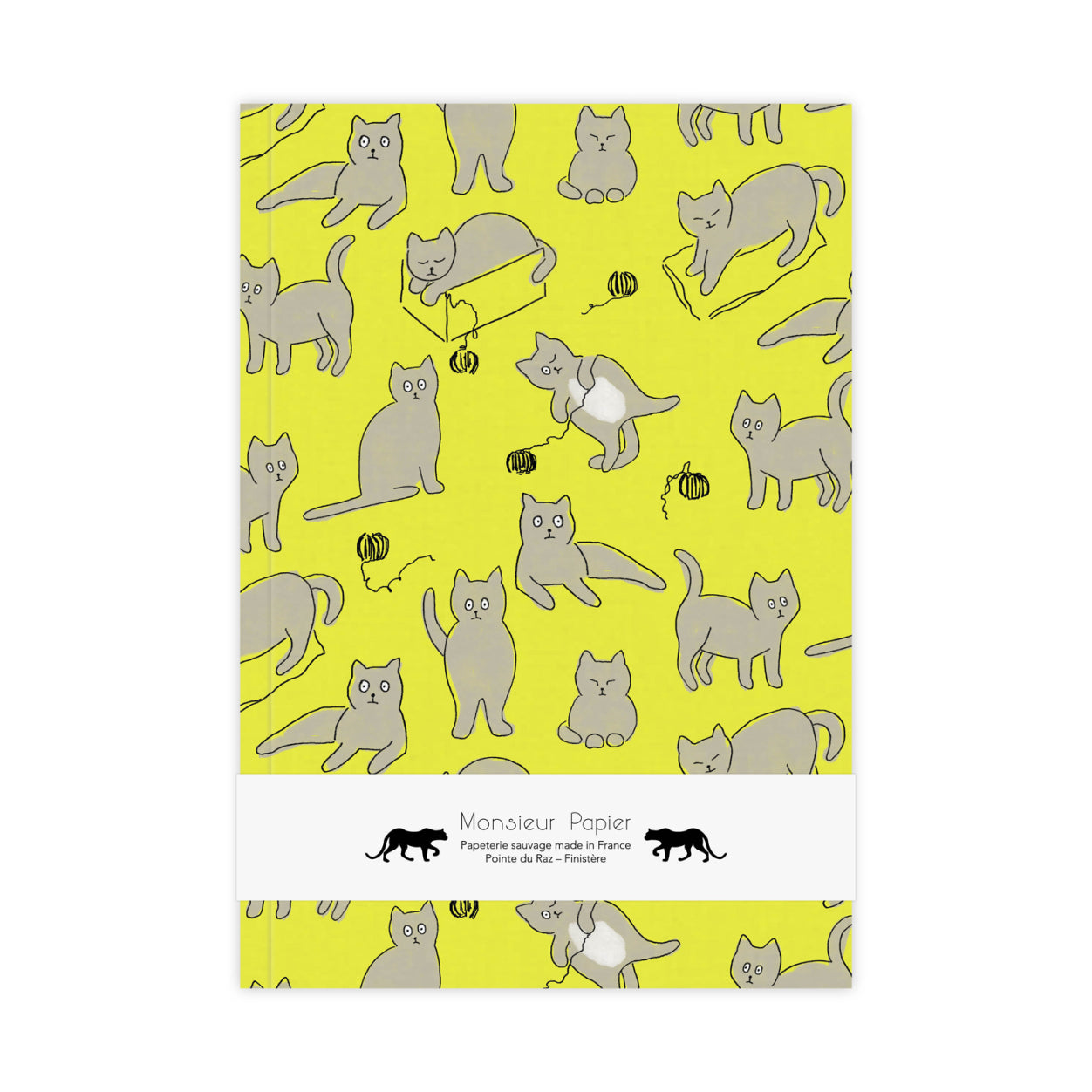 Carnet (M) Cuddle cat