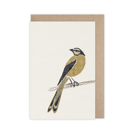 Carte - Oiseau masqué