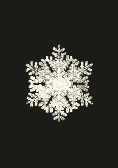 Carnet - Flocons de neige