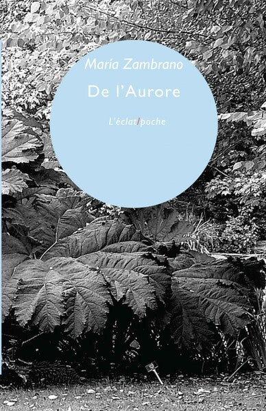 DE L'AURORE