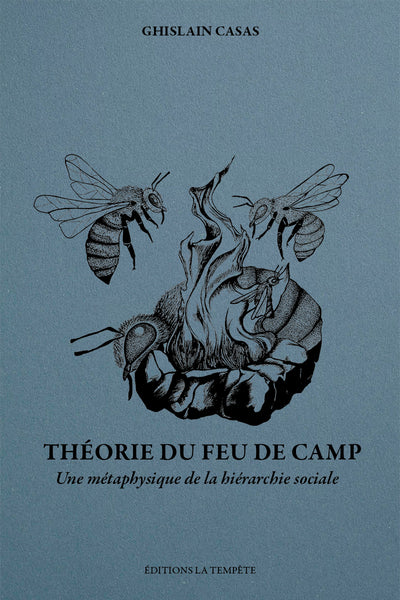THEORIE DU FEU DE CAMP : UNE METAPHYSIQUE DE LA HIERARCHIE SOCIALE