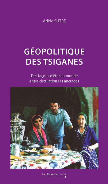 Géopolitique des tsiganes