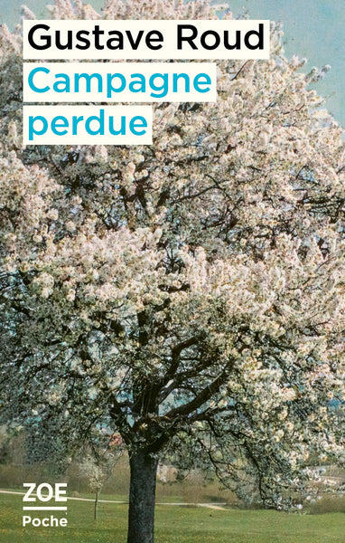 Campagne perdue