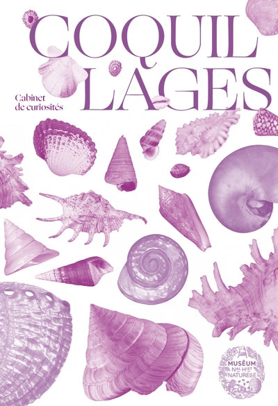 Coquillages - Joyaux des mers