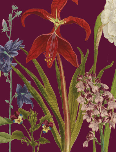 Petit carnet Jardin