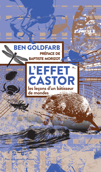 L'effet castor