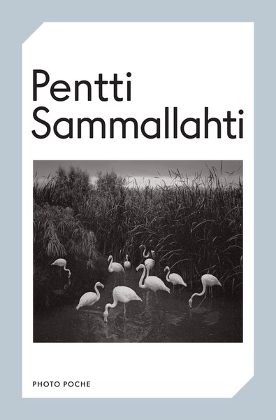 Pentti Sammallahti