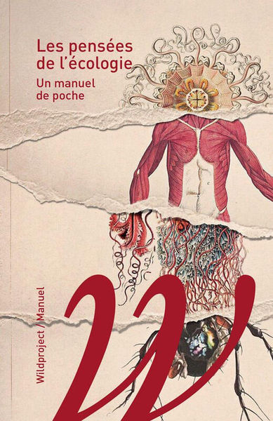Les pensées de l'écologie - Un manuel de poche